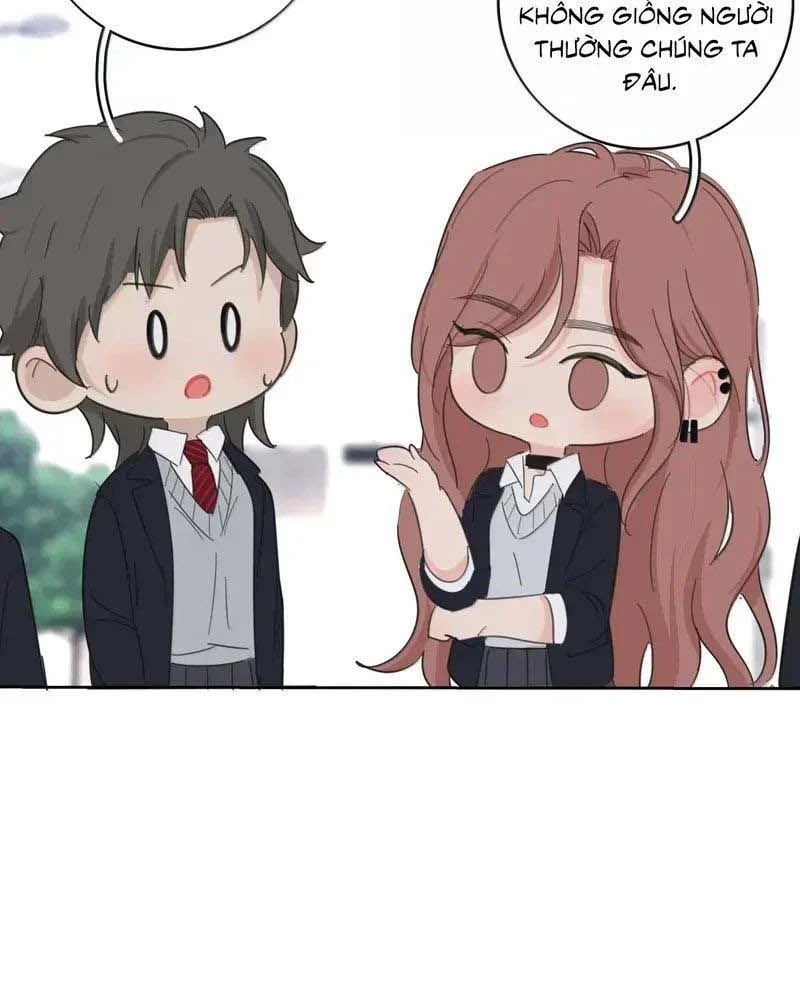 Dương Gian Bách Lý Cẩm Chapter 240 - 11