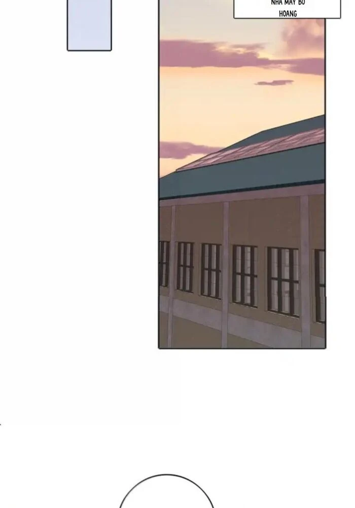 Dương Gian Bách Lý Cẩm Chapter 242 - 10