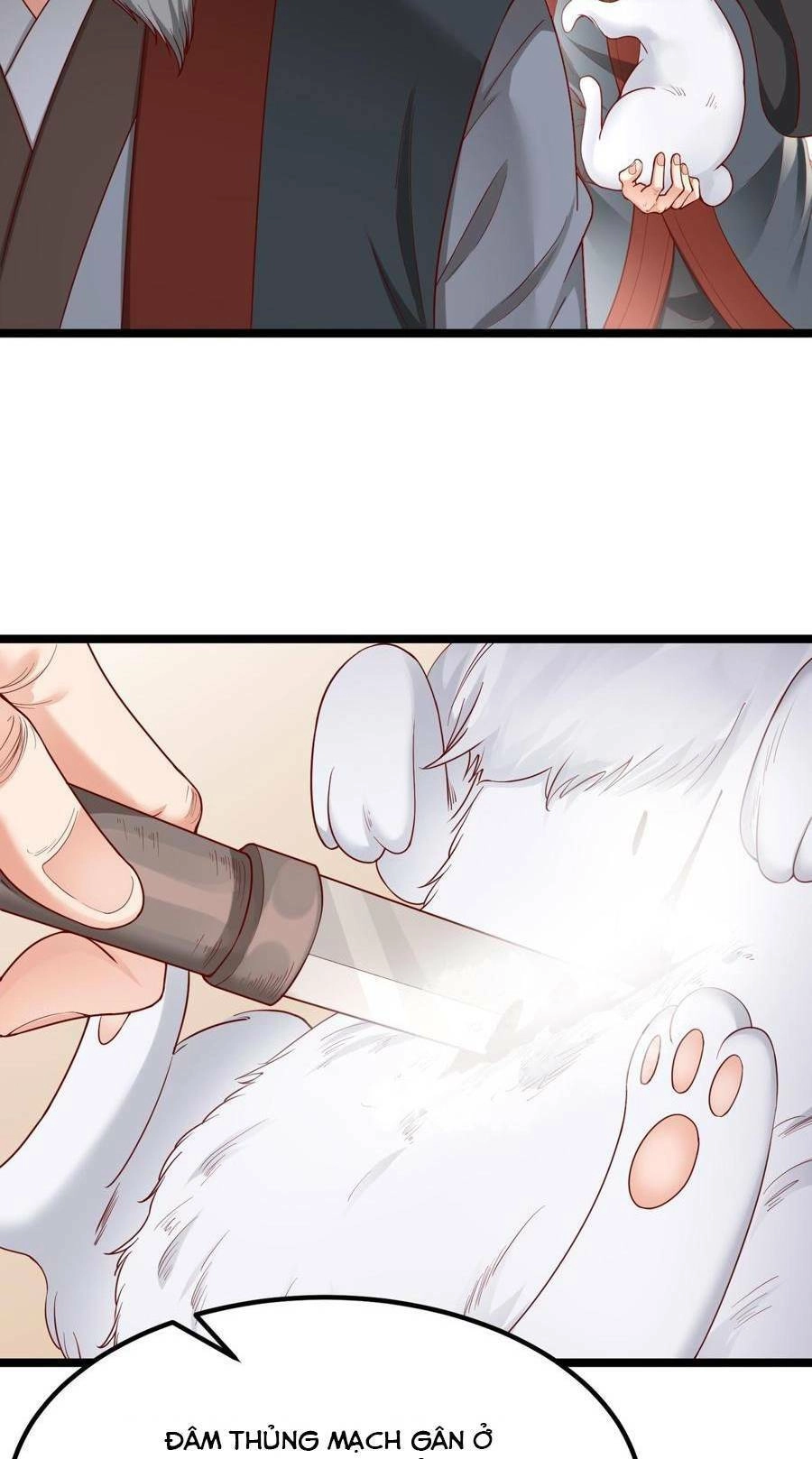 Đại Tần: Ta Con Trai Tần Thủy Hoàng Giết Địch Thăng Cấp Thành Thần Chapter 11 - 66