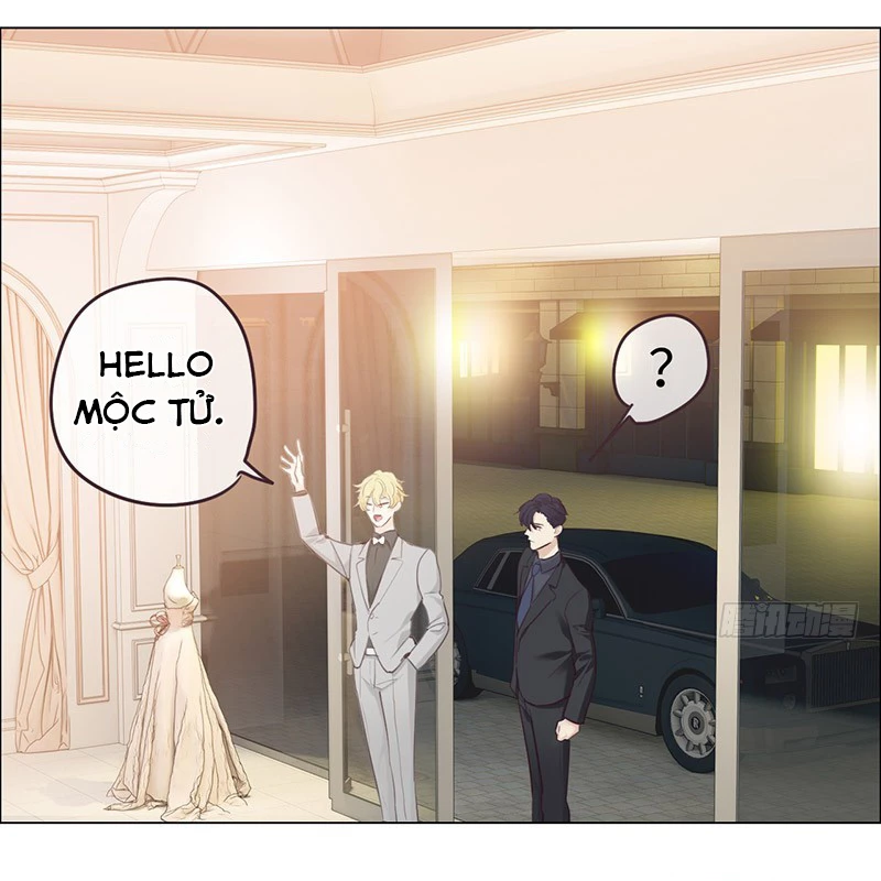 Tương Nhu Dịch Mộc Chapter 61 - 21