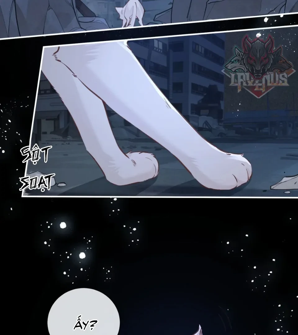 Nhịp Đập Nguy Hiểm Chapter 21 - 5