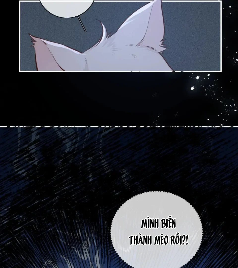 Nhịp Đập Nguy Hiểm Chapter 21 - 6