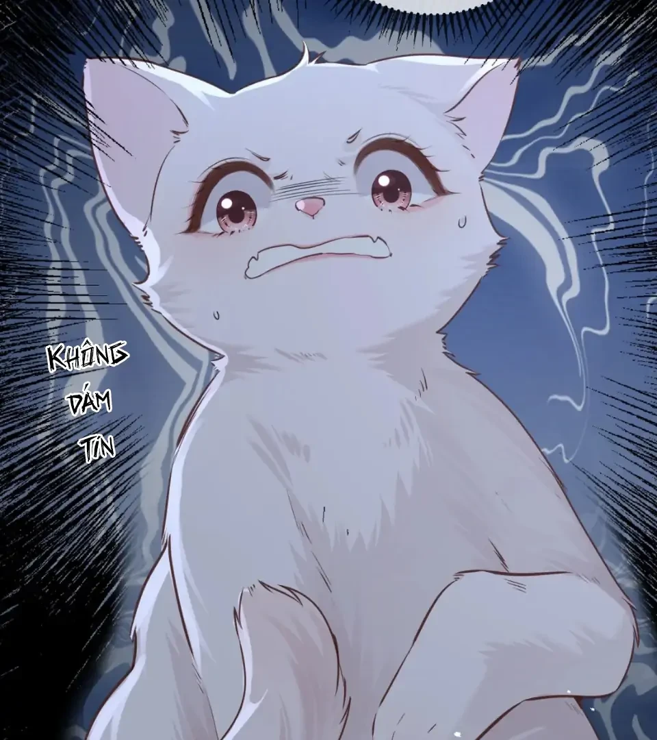 Nhịp Đập Nguy Hiểm Chapter 21 - 7