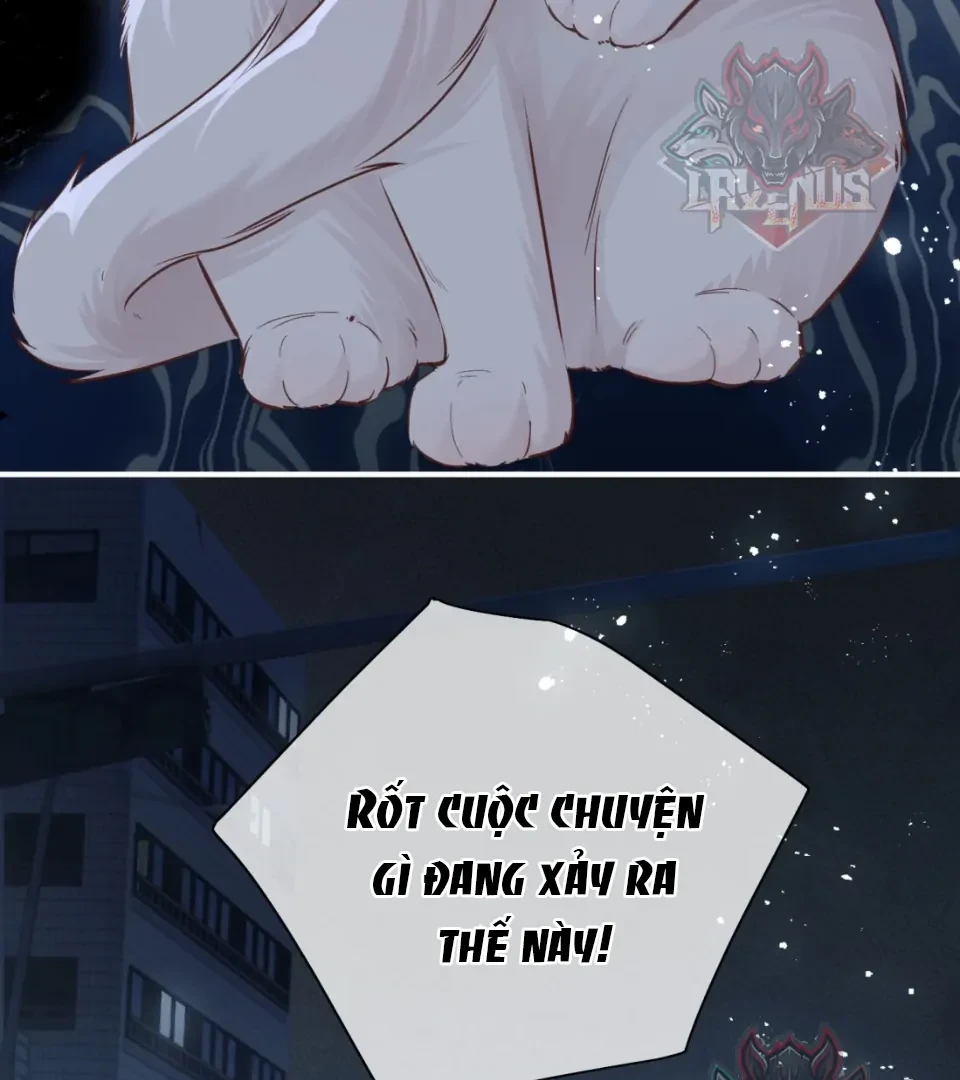 Nhịp Đập Nguy Hiểm Chapter 21 - 8