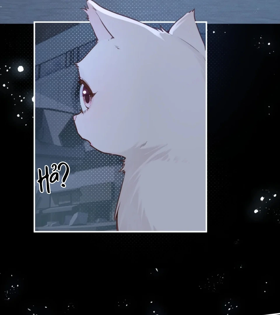 Nhịp Đập Nguy Hiểm Chapter 21 - 10