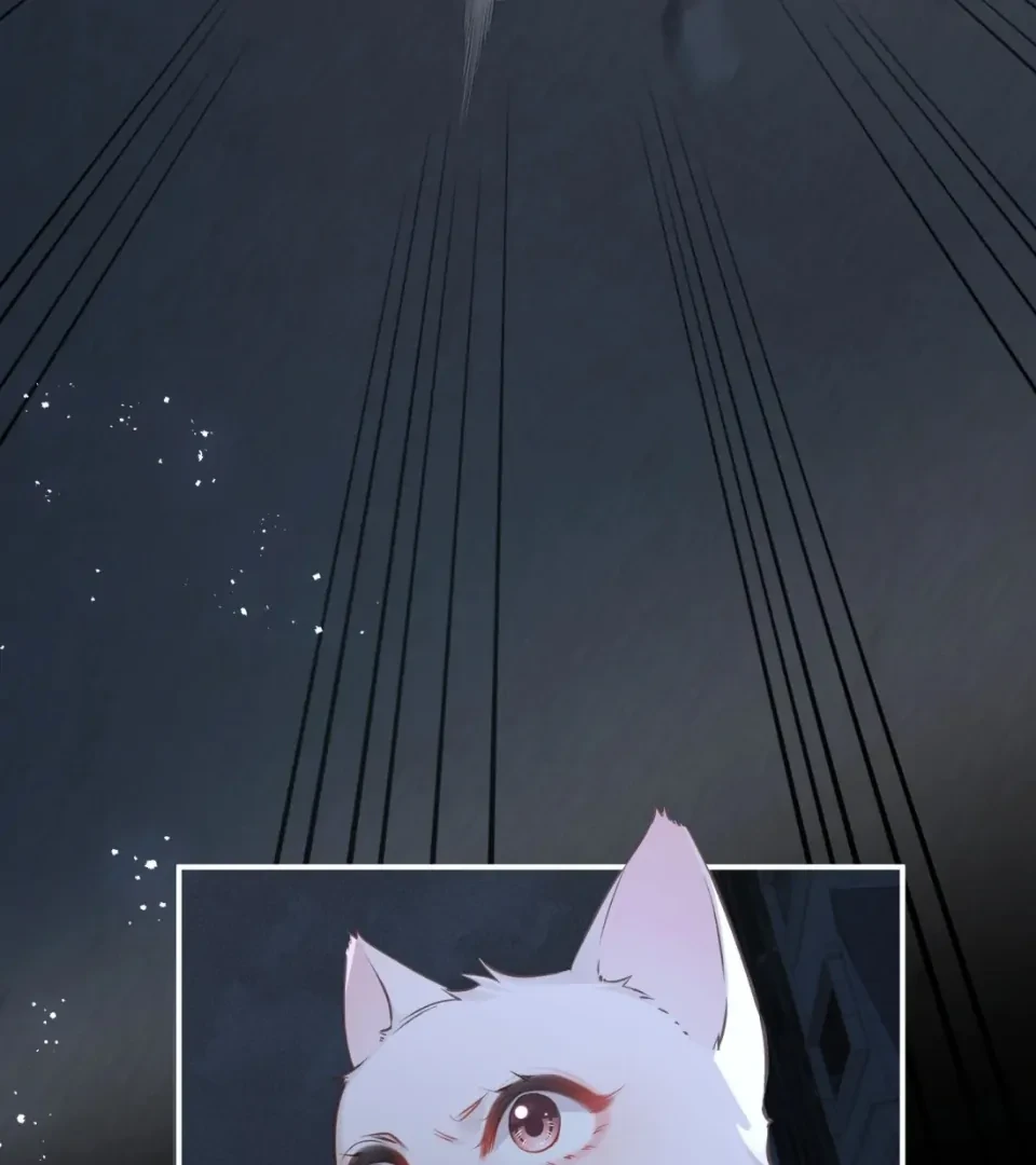 Nhịp Đập Nguy Hiểm Chapter 21 - 19