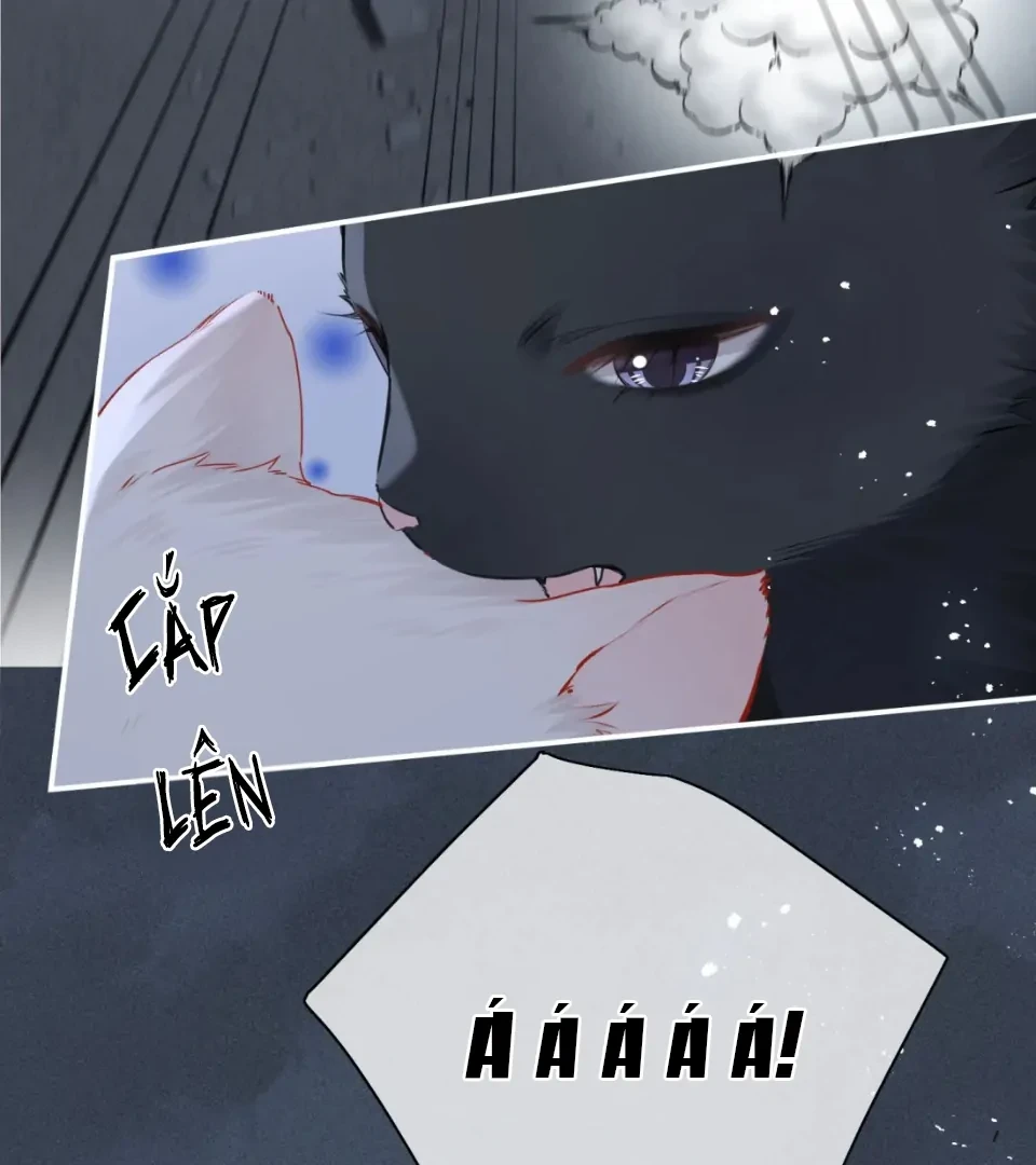 Nhịp Đập Nguy Hiểm Chapter 21 - 24