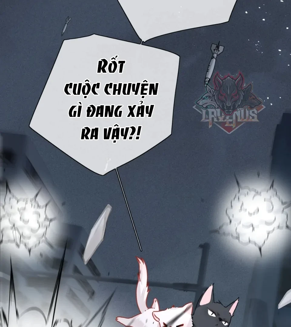 Nhịp Đập Nguy Hiểm Chapter 21 - 25