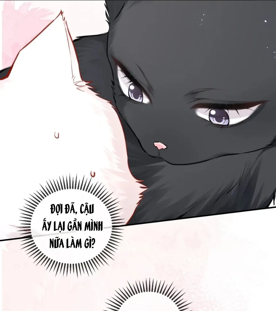 Nhịp Đập Nguy Hiểm Chapter 21 - 32