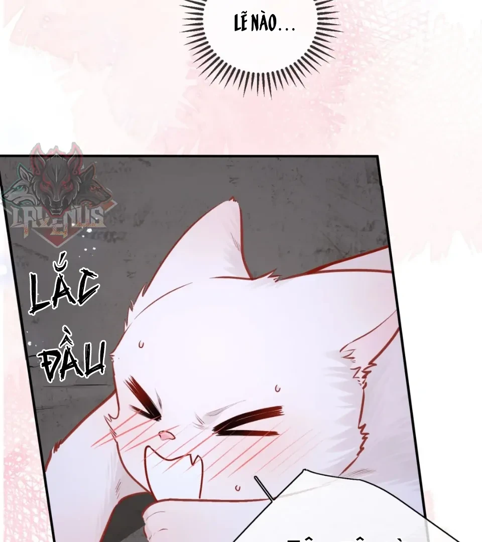 Nhịp Đập Nguy Hiểm Chapter 21 - 33