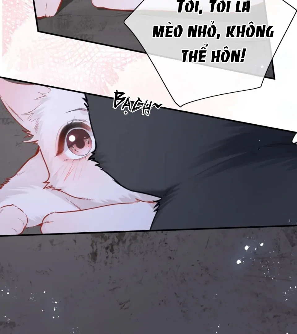 Nhịp Đập Nguy Hiểm Chapter 21 - 34