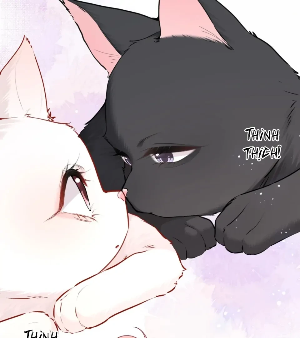 Nhịp Đập Nguy Hiểm Chapter 21 - 40