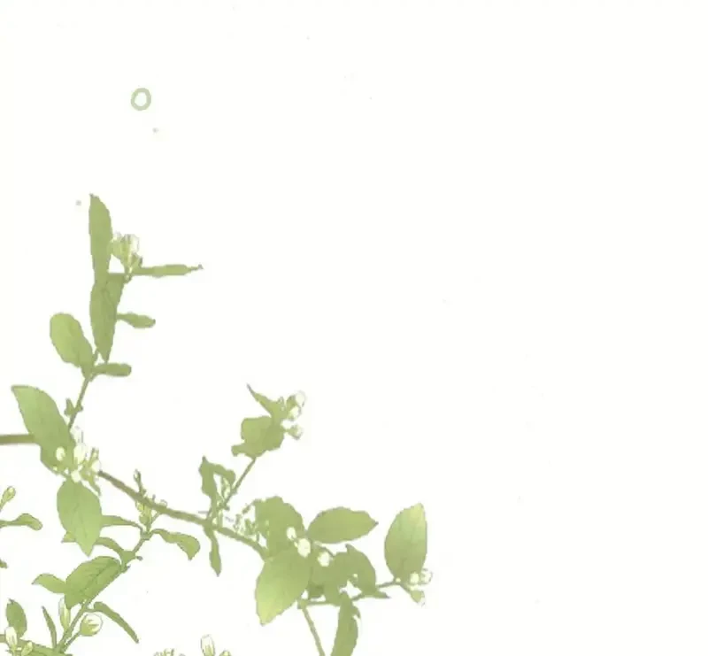 Ban Cho Tôi Nụ Hôn Của Em Chapter 10 - 5