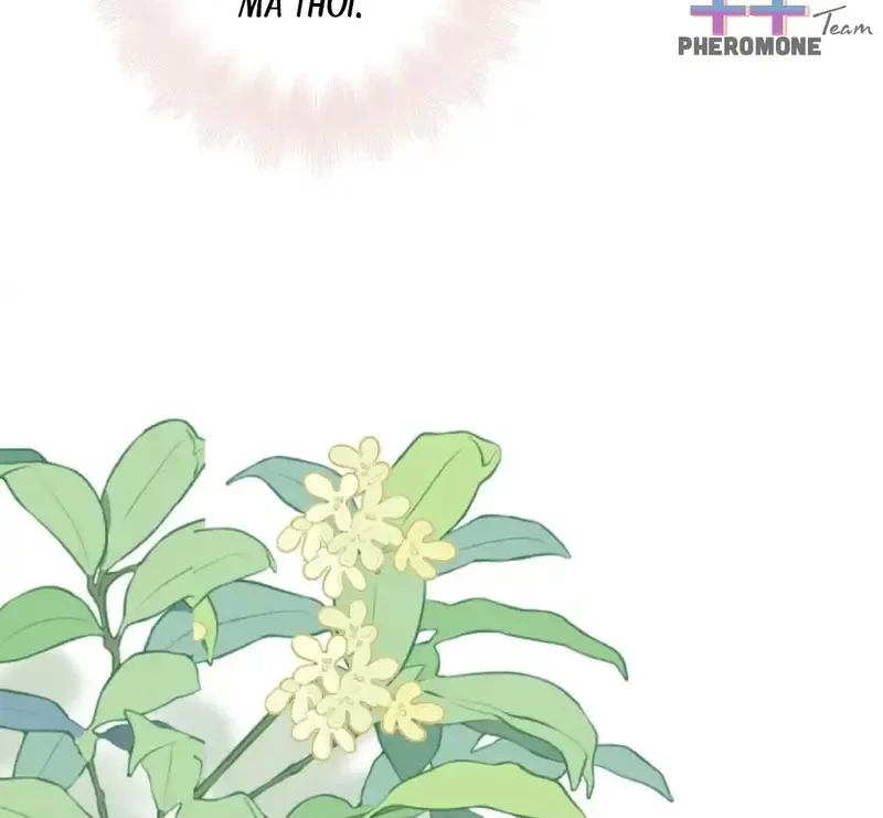 Ban Cho Tôi Nụ Hôn Của Em Chapter 10 - 71