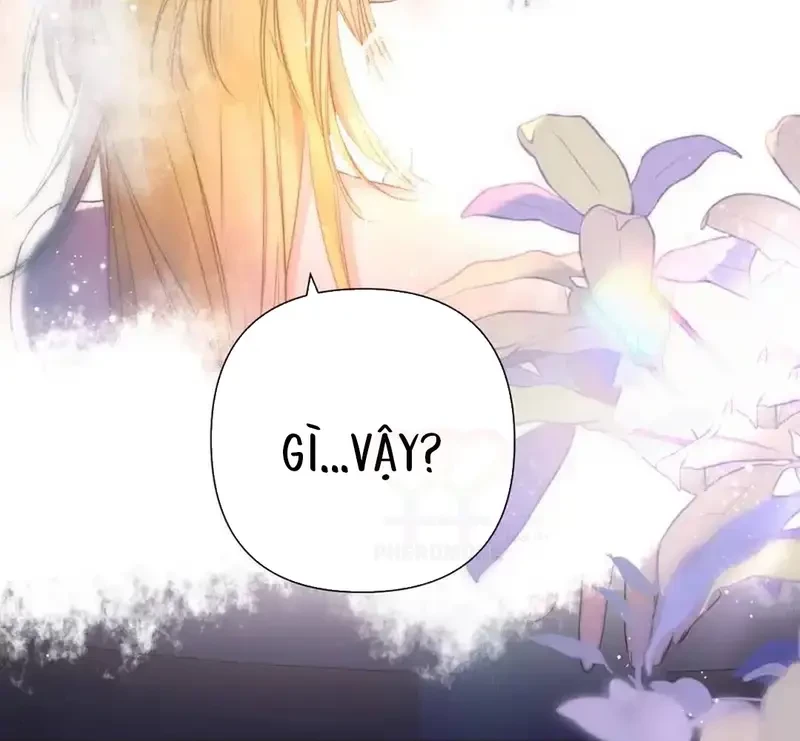 Ban Cho Tôi Nụ Hôn Của Em Chapter 13 - 49