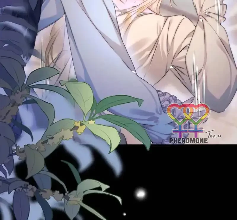 Ban Cho Tôi Nụ Hôn Của Em Chapter 15 - 42