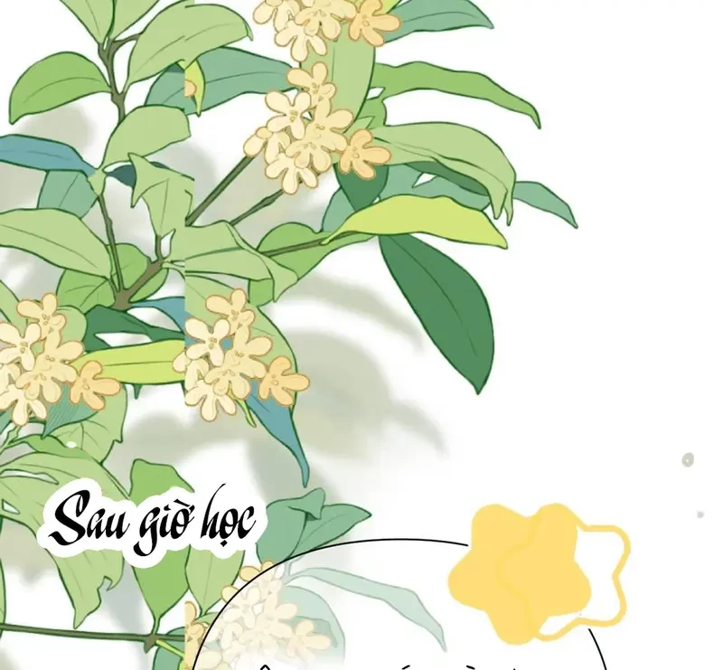 Ban Cho Tôi Nụ Hôn Của Em Chapter 17 - 58