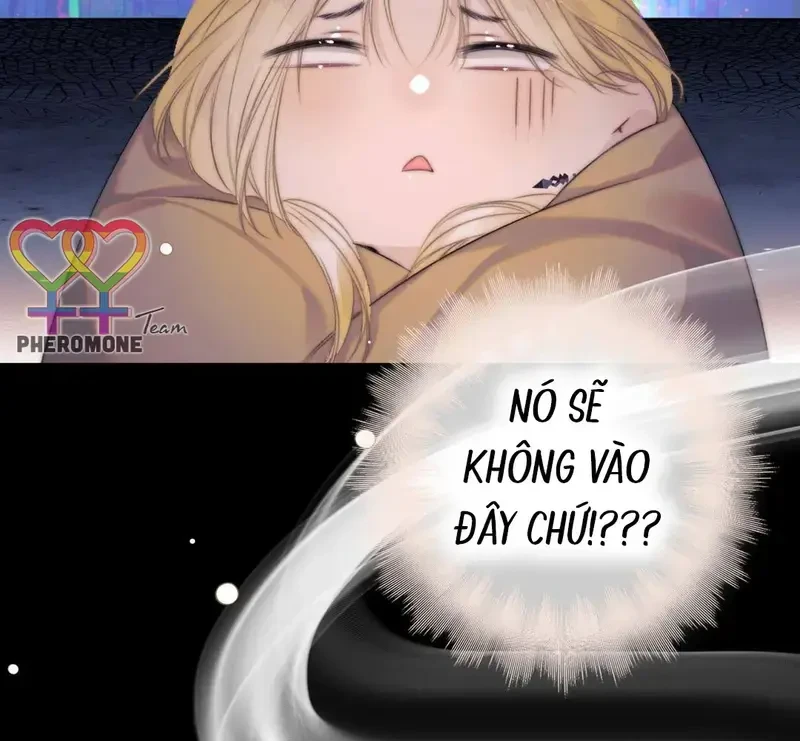 Ban Cho Tôi Nụ Hôn Của Em Chapter 22 - 41
