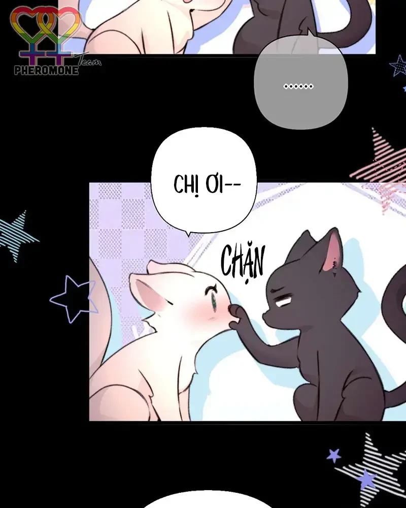 Ban Cho Tôi Nụ Hôn Của Em Chapter 25 - 64