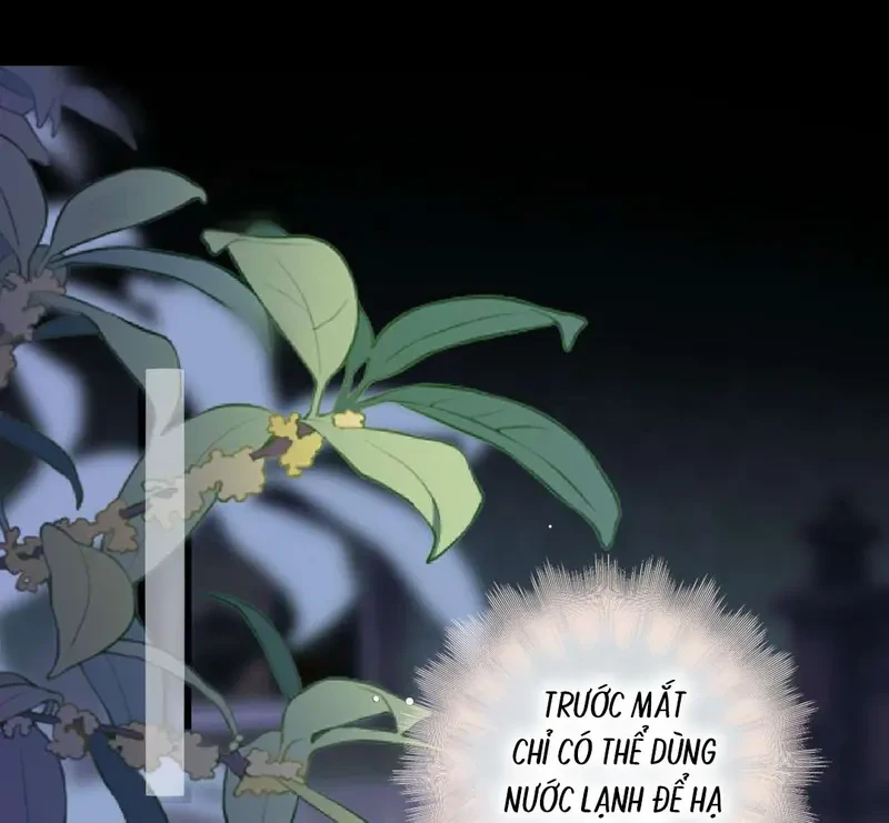 Ban Cho Tôi Nụ Hôn Của Em Chapter 23 - 43