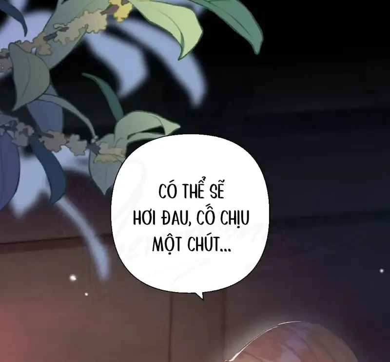 Ban Cho Tôi Nụ Hôn Của Em Chapter 24 - 14