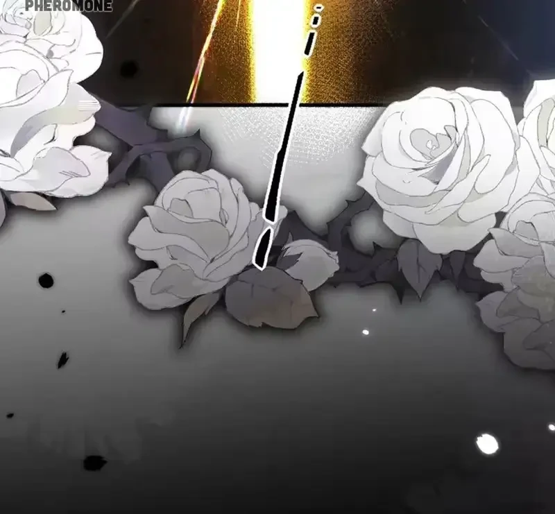 Ban Cho Tôi Nụ Hôn Của Em Chapter 32 - 51