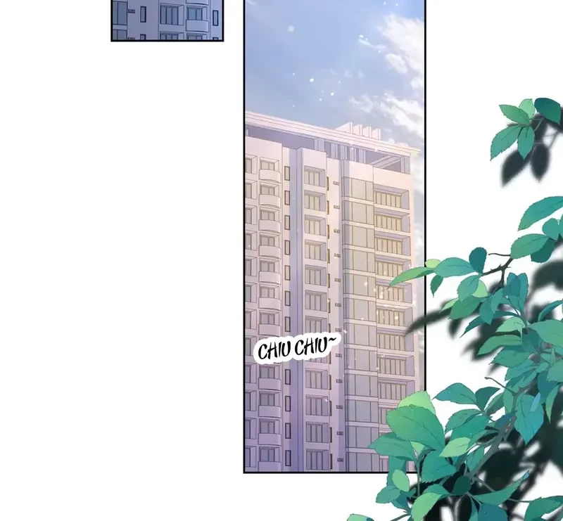 Run Run Rẩy Rẩy Chạy Khỏi Người Chapter 15 - 15