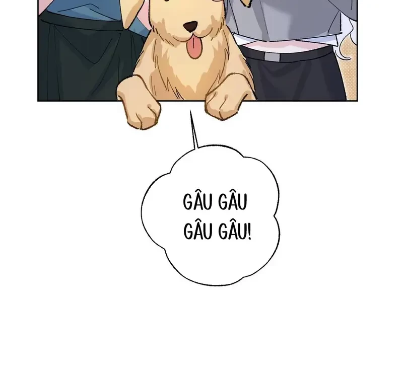 Run Run Rẩy Rẩy Chạy Khỏi Người Chapter 19 - 7