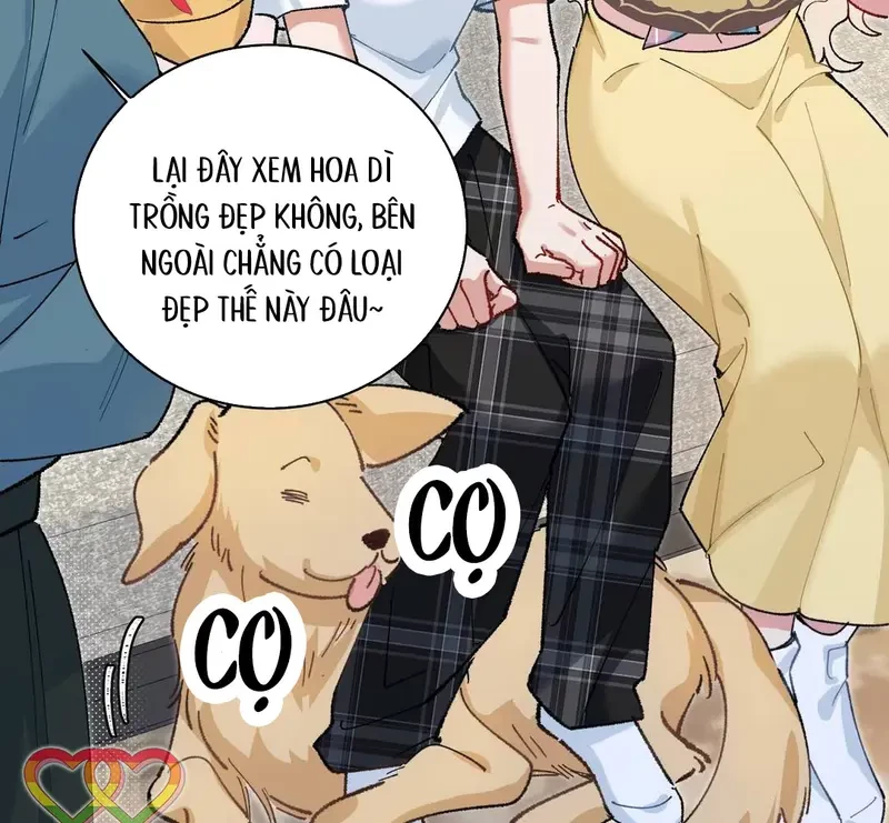 Run Run Rẩy Rẩy Chạy Khỏi Người Chapter 19 - 10