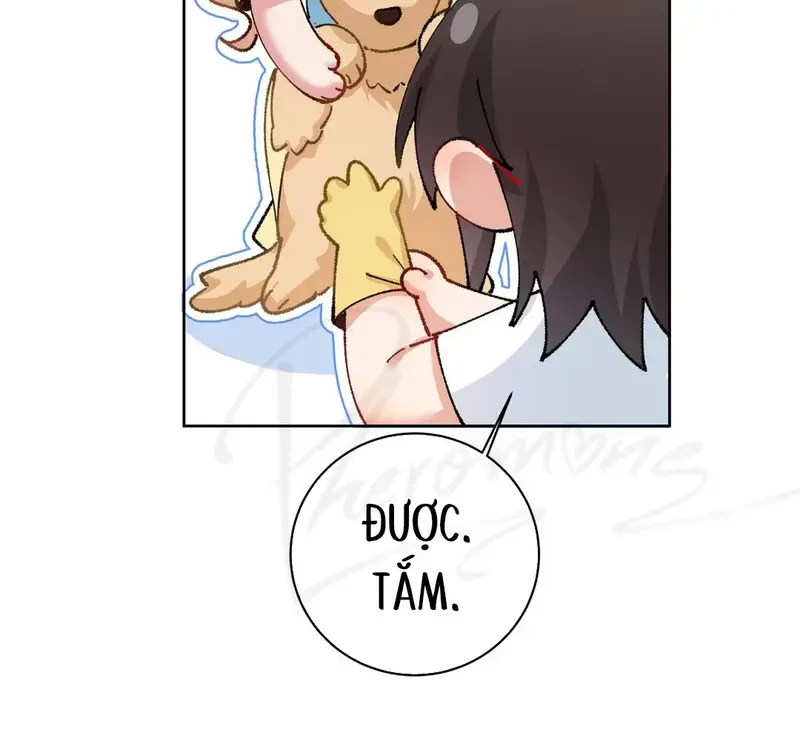 Run Run Rẩy Rẩy Chạy Khỏi Người Chapter 19 - 45