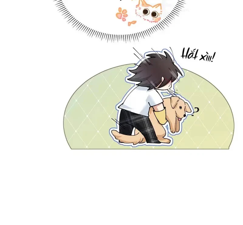 Run Run Rẩy Rẩy Chạy Khỏi Người Chapter 19 - 51