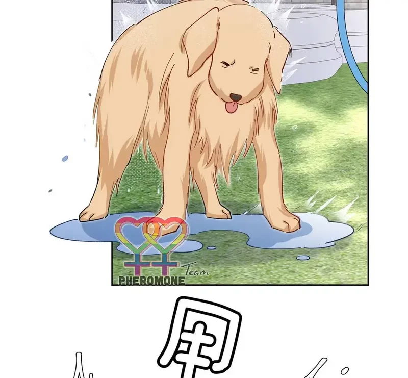 Run Run Rẩy Rẩy Chạy Khỏi Người Chapter 19 - 54