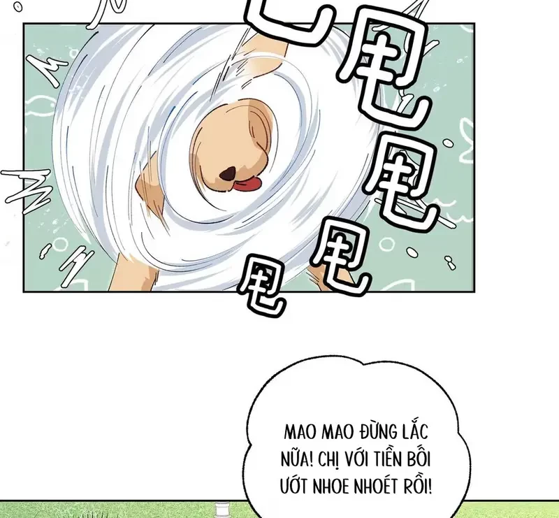 Run Run Rẩy Rẩy Chạy Khỏi Người Chapter 19 - 55