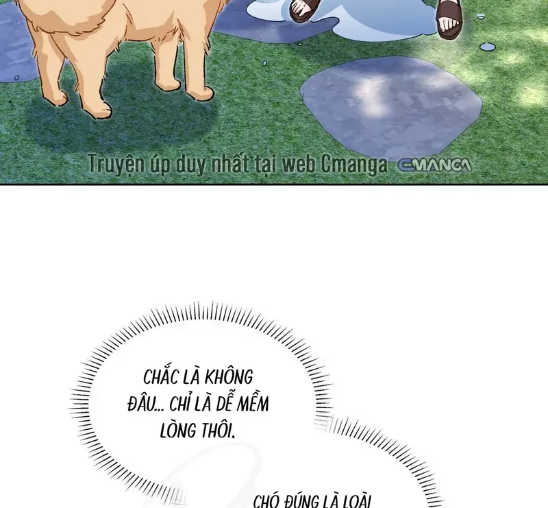 Run Run Rẩy Rẩy Chạy Khỏi Người Chapter 19 - 57