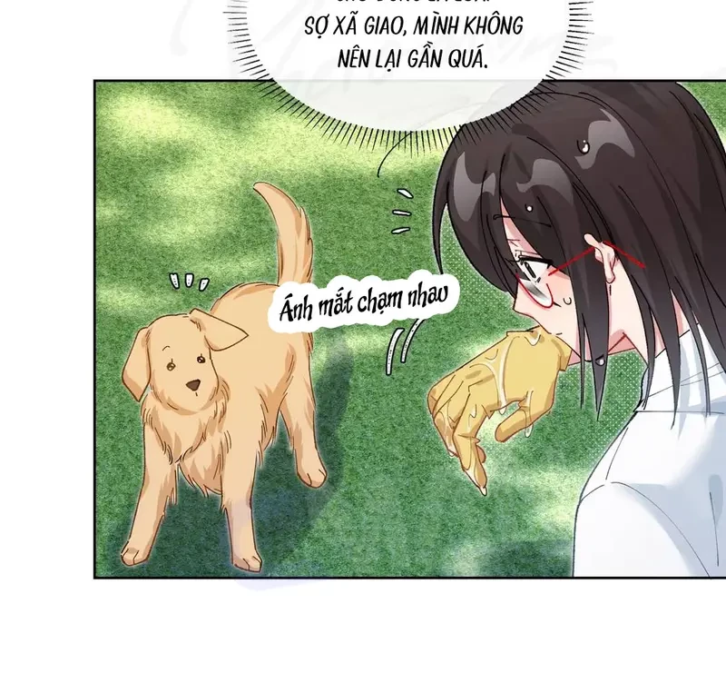 Run Run Rẩy Rẩy Chạy Khỏi Người Chapter 19 - 58