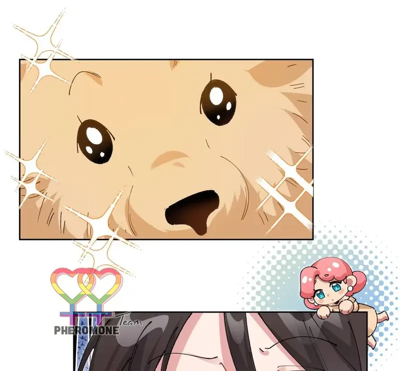 Run Run Rẩy Rẩy Chạy Khỏi Người Chapter 19 - 59