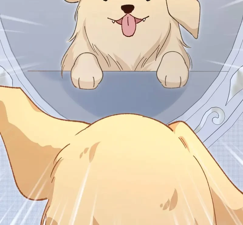 Run Run Rẩy Rẩy Chạy Khỏi Người Chapter 20.5 - 12