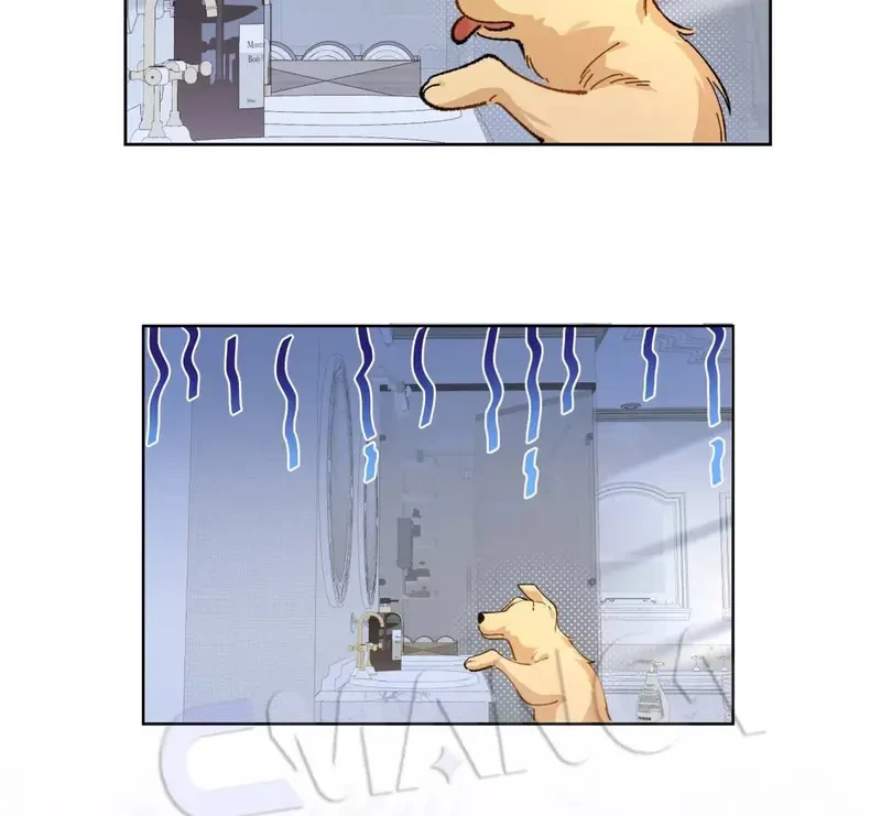 Run Run Rẩy Rẩy Chạy Khỏi Người Chapter 20.5 - 14