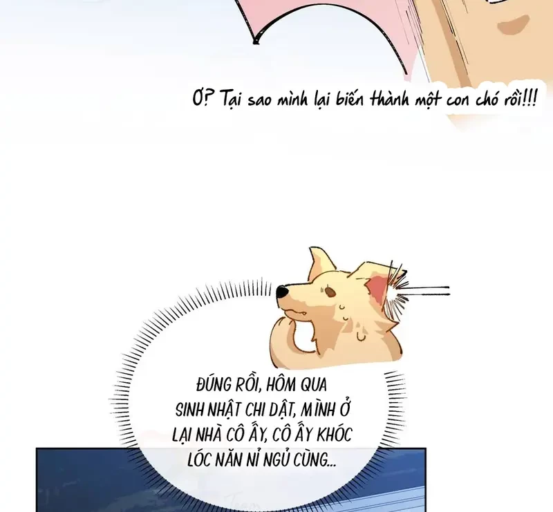 Run Run Rẩy Rẩy Chạy Khỏi Người Chapter 20.5 - 17