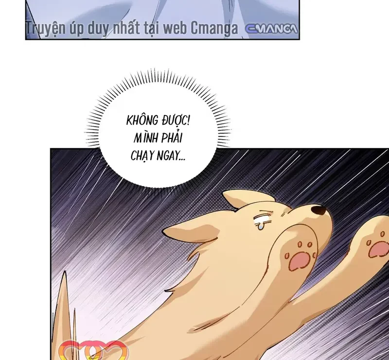 Run Run Rẩy Rẩy Chạy Khỏi Người Chapter 20.5 - 19