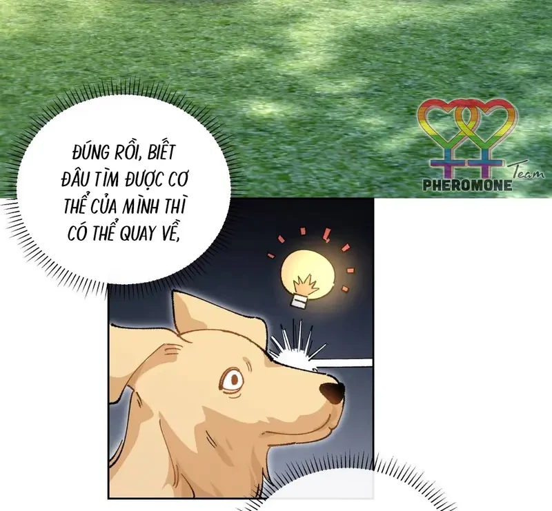 Run Run Rẩy Rẩy Chạy Khỏi Người Chapter 20.5 - 31