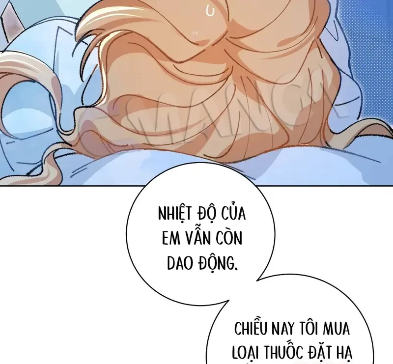 Run Run Rẩy Rẩy Chạy Khỏi Người Chapter 25 - 42