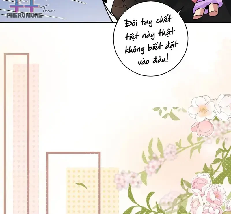 Run Run Rẩy Rẩy Chạy Khỏi Người Chapter 29 - 66