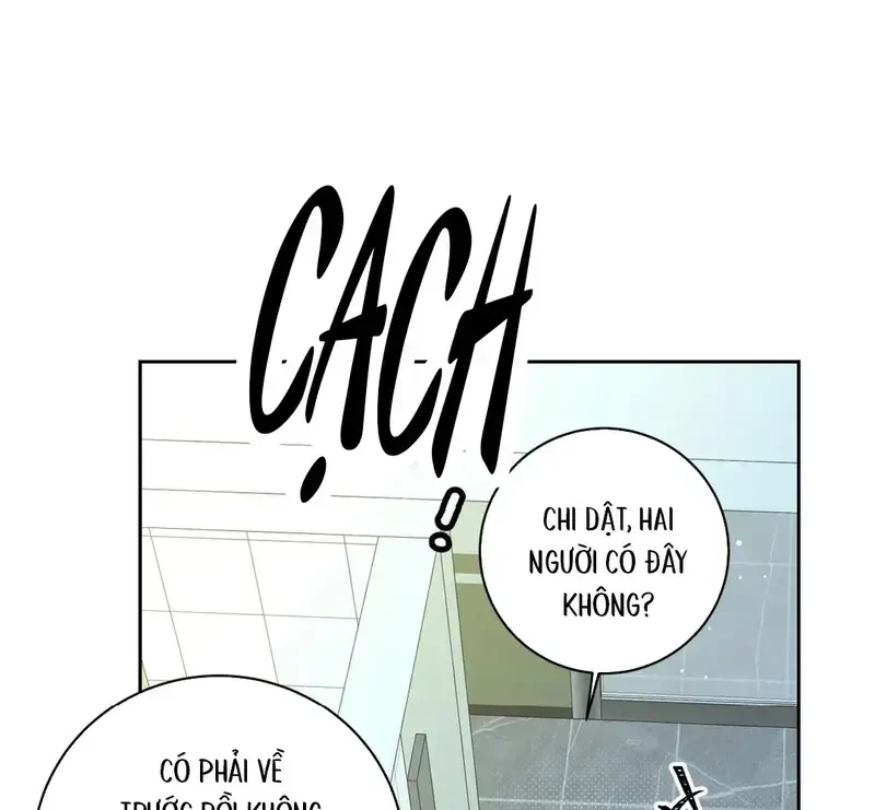 Run Run Rẩy Rẩy Chạy Khỏi Người Chapter 31 - 51