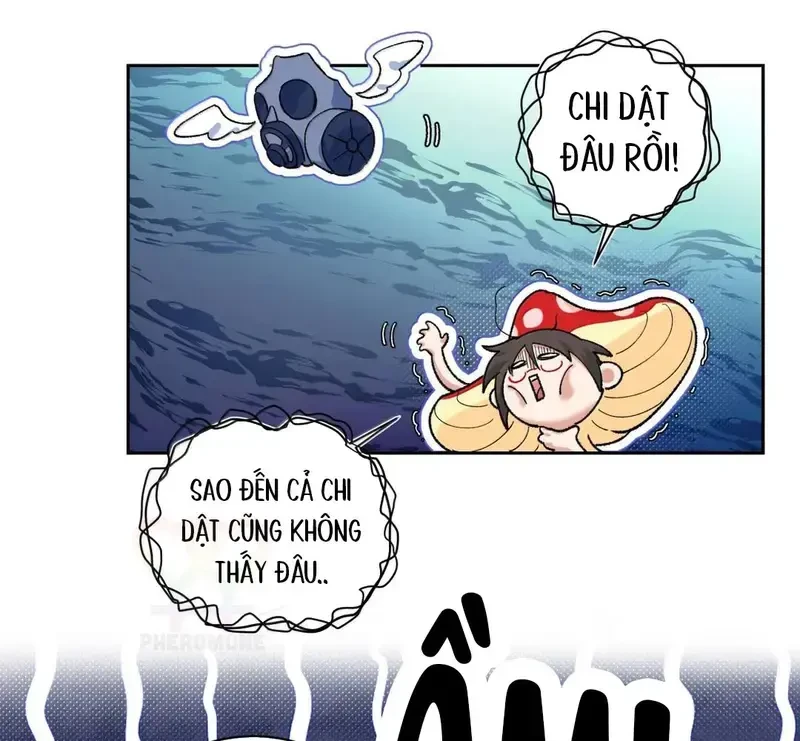 Run Run Rẩy Rẩy Chạy Khỏi Người Chapter 32 - 60