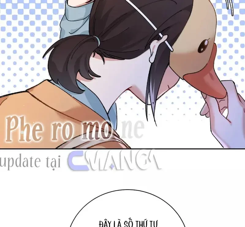 Run Run Rẩy Rẩy Chạy Khỏi Người Chapter 33 - 38