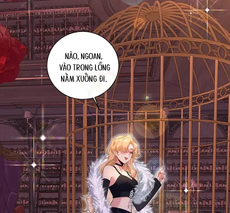 Run Run Rẩy Rẩy Chạy Khỏi Người Chapter 36 - 63