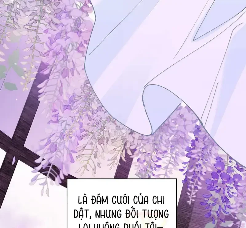 Run Run Rẩy Rẩy Chạy Khỏi Người Chapter 42 - 46