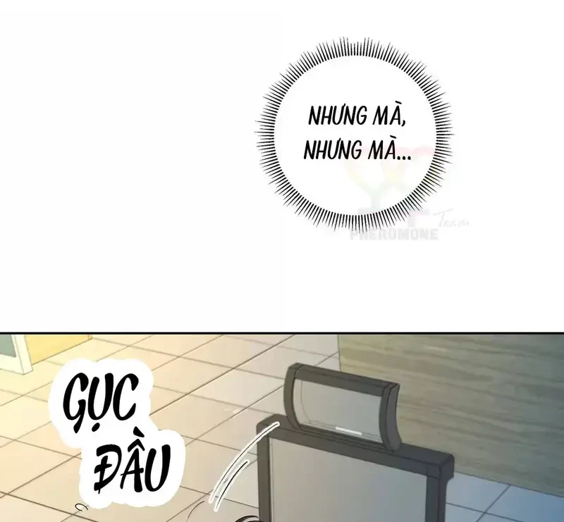 Run Run Rẩy Rẩy Chạy Khỏi Người Chapter 45 - 52