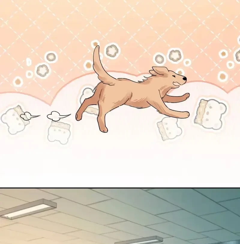 Run Run Rẩy Rẩy Chạy Khỏi Người Chapter 45 - 63